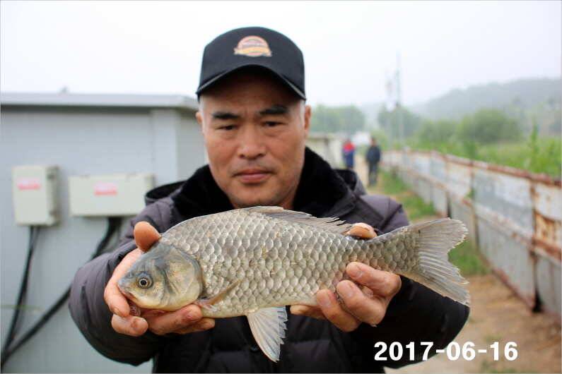 선풍기 틀고 낚시하세요 (유료터정보 - 유료터점주조황)