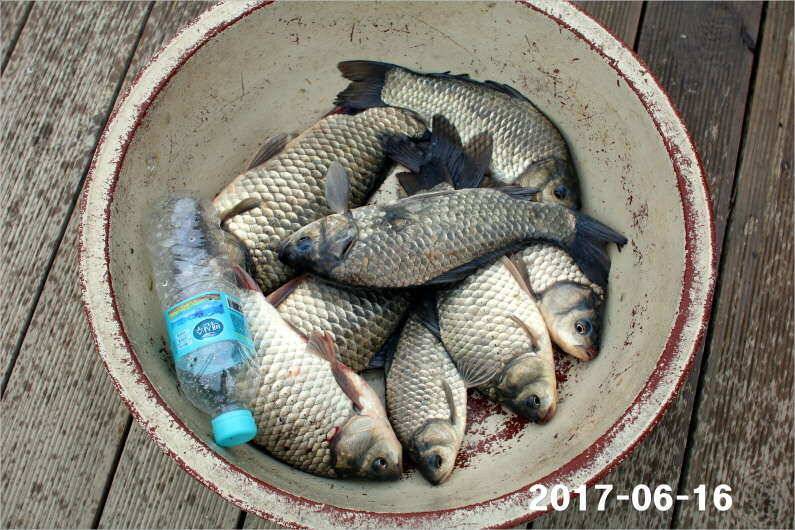 선풍기 틀고 낚시하세요 (유료터정보 - 유료터점주조황)
