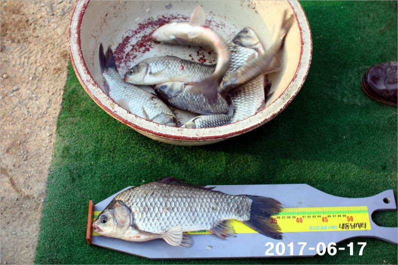 선풍기 틀고 낚시하세요 (유료터정보 - 유료터점주조황)