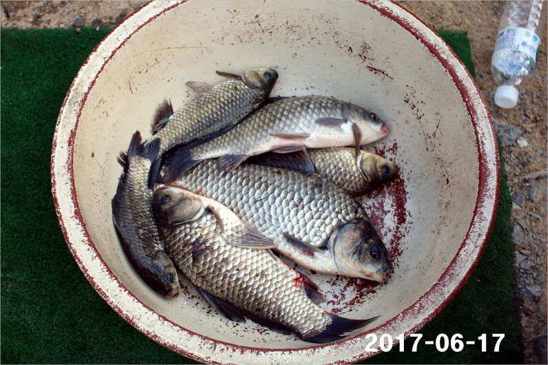 선풍기 틀고 낚시하세요 (유료터정보 - 유료터점주조황)