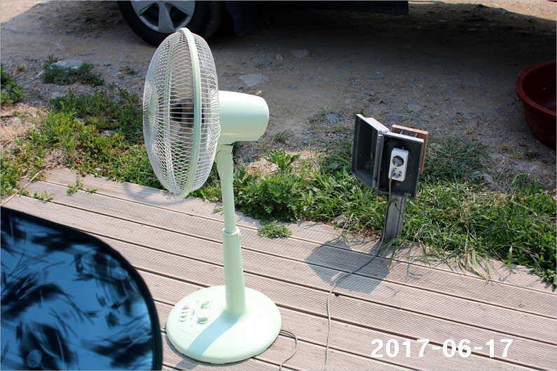 선풍기 틀고 낚시하세요 (유료터정보 - 유료터점주조황)