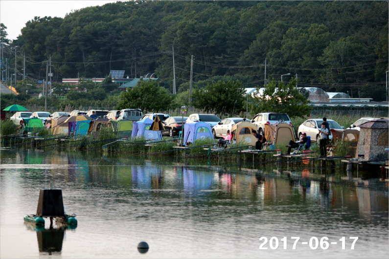 선풍기 틀고 낚시하세요 (유료터정보 - 유료터점주조황)
