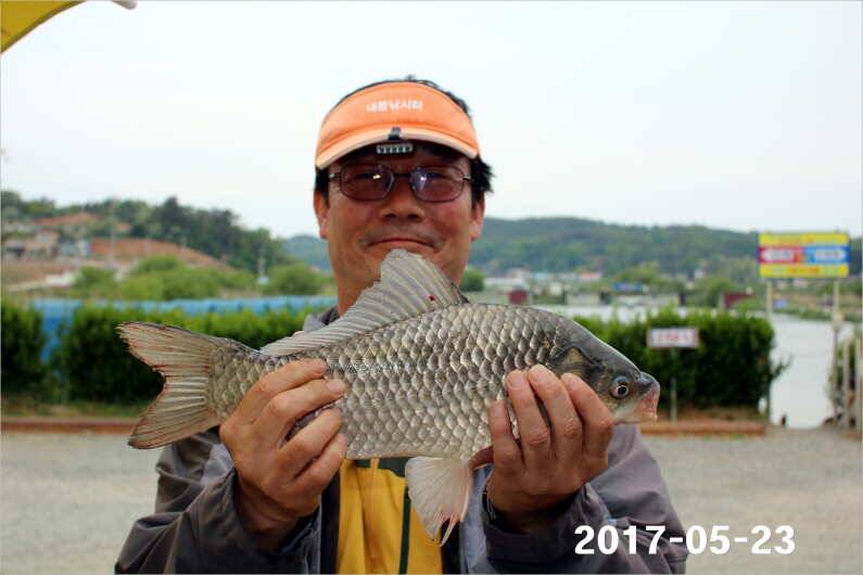 4짜 300마리와 낚시대회 (유료터정보 - 유료터점주조황)