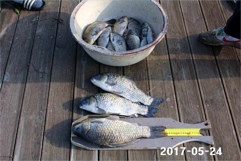 4짜 300마리와 낚시대회 (유료터정보 - 유료터점주조황)