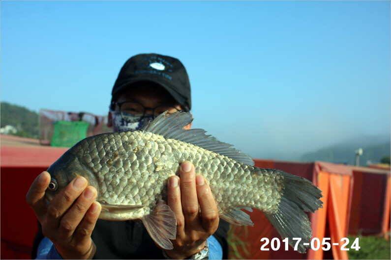 4짜 300마리와 낚시대회 (유료터정보 - 유료터점주조황)