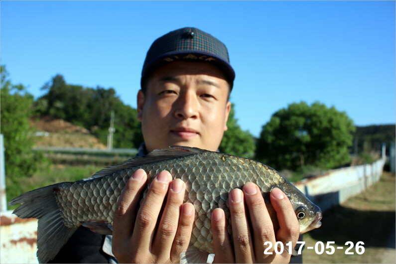 4짜 300마리와 낚시대회 (유료터정보 - 유료터점주조황)