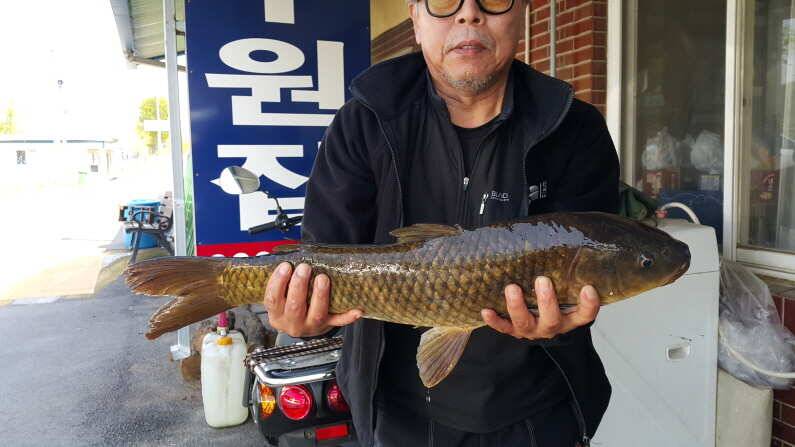 배수기 살아난 조황 송전지 수원좌대 (유료터정보 - 유료터점주조황)