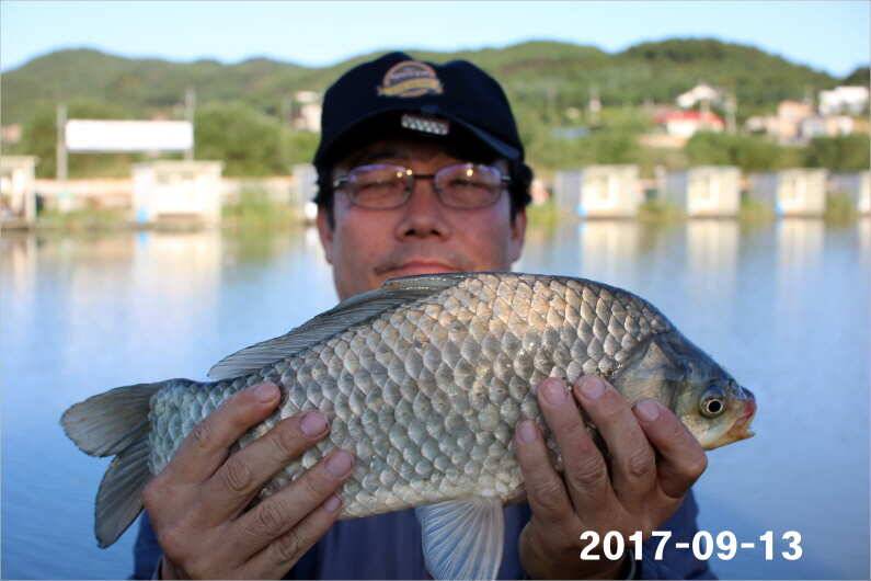 조황 만들기 (유료터정보 - 유료터점주조황)