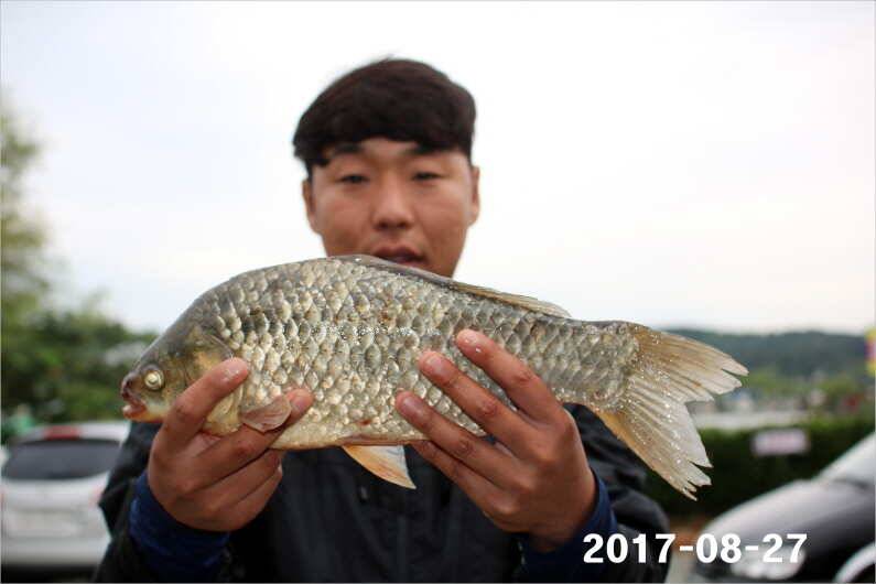 4짜 500마리 조사님을 찾습니다 (유료터정보 - 유료터점주조황)