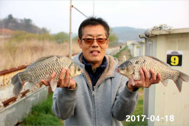 4짜 행진은 쭉 (유료터정보 - 유료터점주조황)
