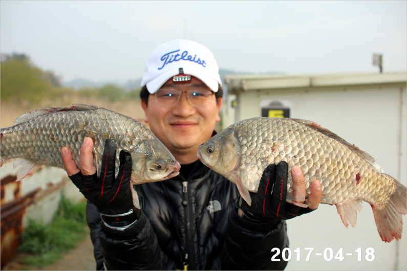 4짜 행진은 쭉 (유료터정보 - 유료터점주조황)