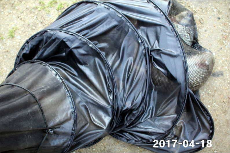 4짜 행진은 쭉 (유료터정보 - 유료터점주조황)