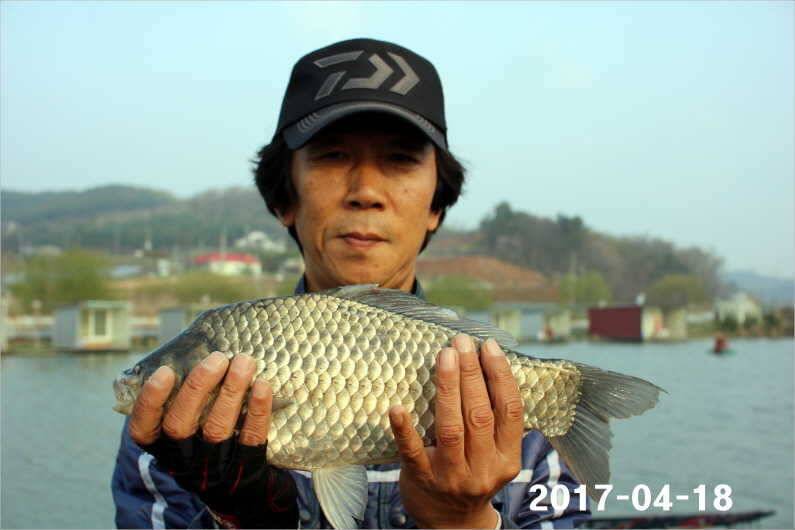 4짜 행진은 쭉 (유료터정보 - 유료터점주조황)