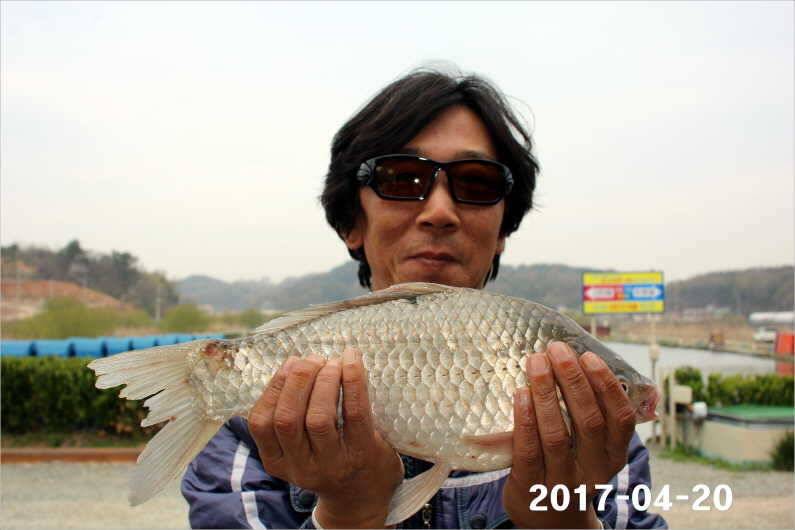 4짜 행진은 쭉 (유료터정보 - 유료터점주조황)