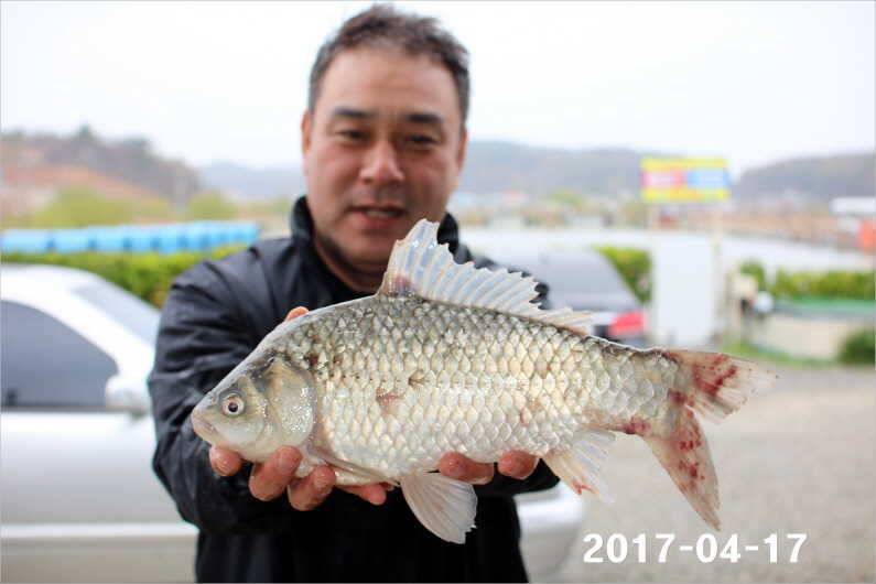 4짜 행진은 쭉 (유료터정보 - 유료터점주조황)