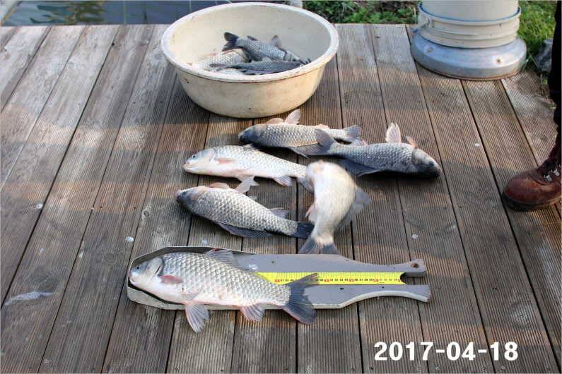 4짜 행진은 쭉 (유료터정보 - 유료터점주조황)