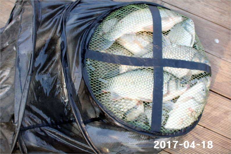 4짜 행진은 쭉 (유료터정보 - 유료터점주조황)