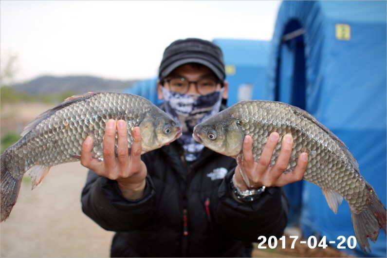 4짜 행진은 쭉 (유료터정보 - 유료터점주조황)