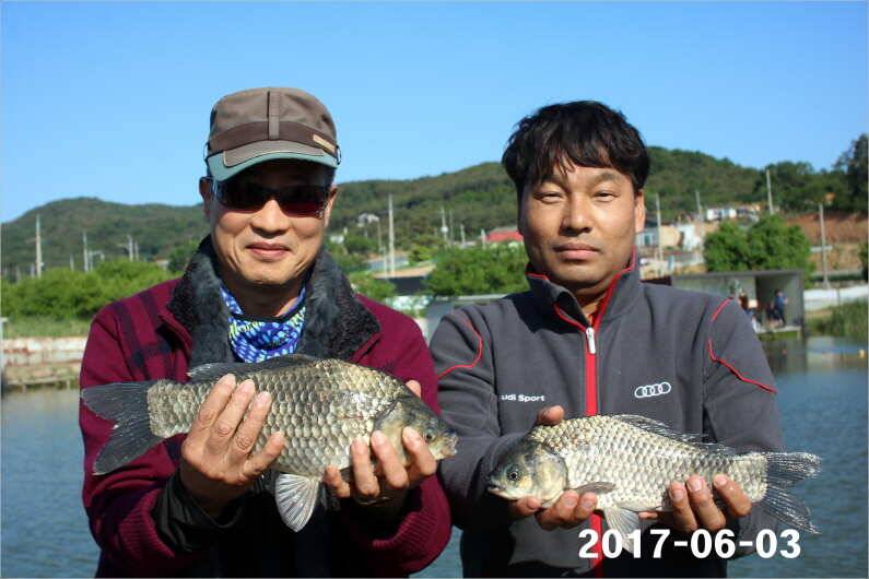 긴 급 공 지 (유료터정보 - 유료터점주조황)