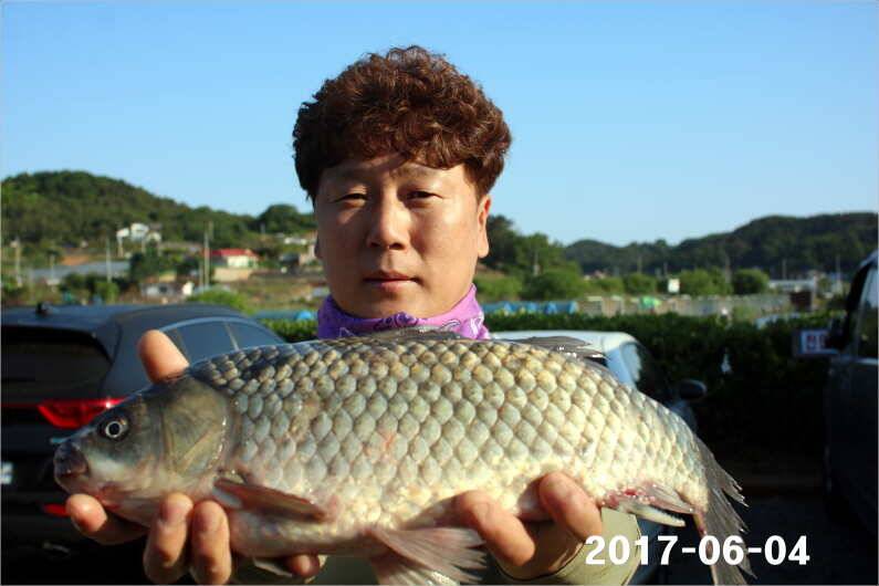 긴 급 공 지 (유료터정보 - 유료터점주조황)