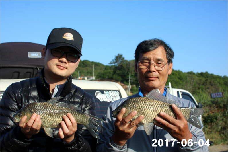 긴 급 공 지 (유료터정보 - 유료터점주조황)