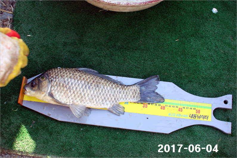 긴 급 공 지 (유료터정보 - 유료터점주조황)