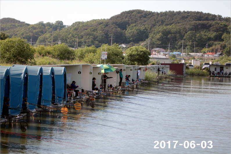 긴 급 공 지 (유료터정보 - 유료터점주조황)