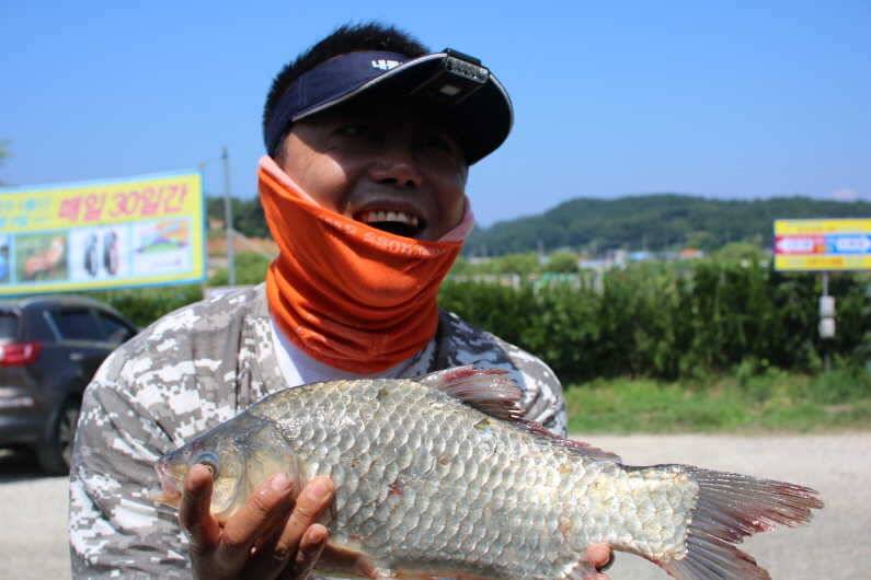 하루에 4짜 29마리 (유료터정보 - 유료터점주조황)