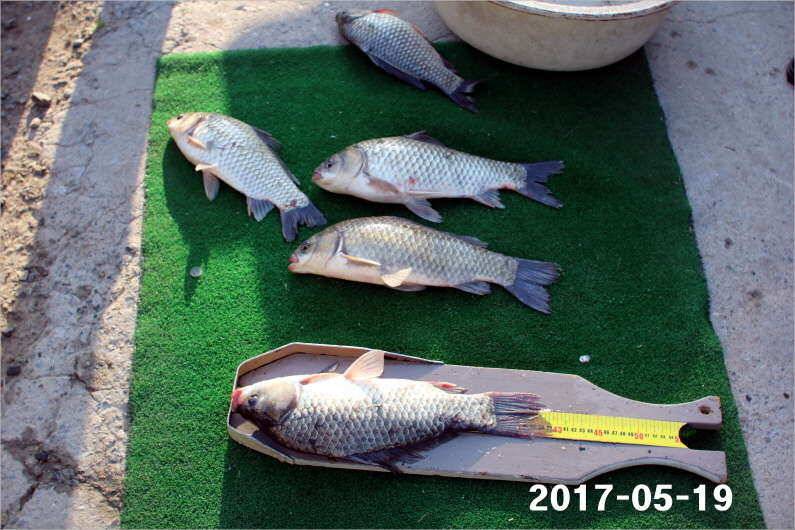 4짜 300마리 조사님을 찾습니다 (유료터정보 - 유료터점주조황)