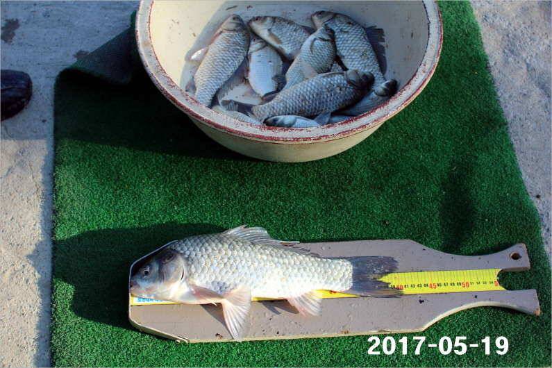 4짜 300마리 조사님을 찾습니다 (유료터정보 - 유료터점주조황)