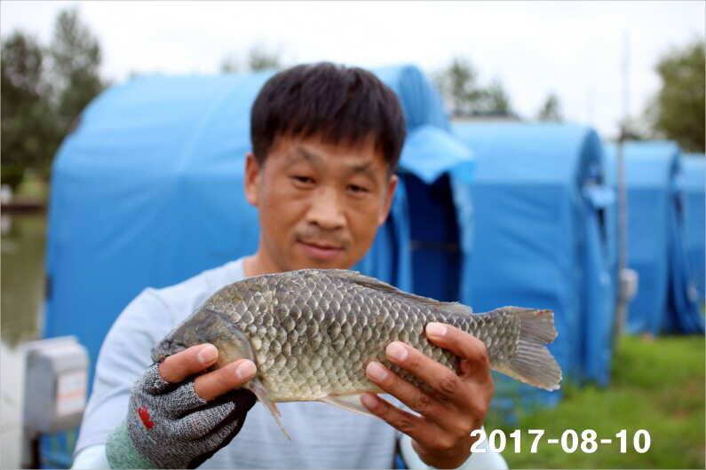 오늘은 설화수골드 5대 (유료터정보 - 유료터점주조황)