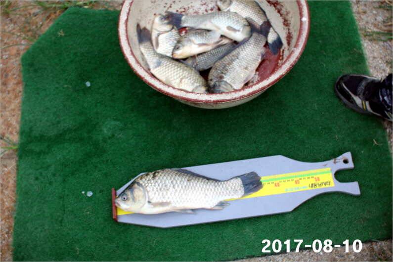 오늘은 설화수골드 5대 (유료터정보 - 유료터점주조황)