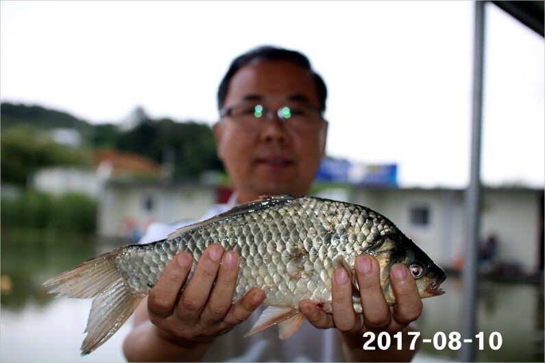 오늘은 설화수골드 5대 (유료터정보 - 유료터점주조황)