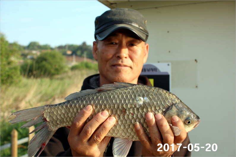 4짜 300마리 조사님을 찾습니다 (유료터정보 - 유료터점주조황)