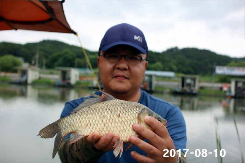 오늘은 설화수골드 5대 (유료터정보 - 유료터점주조황)