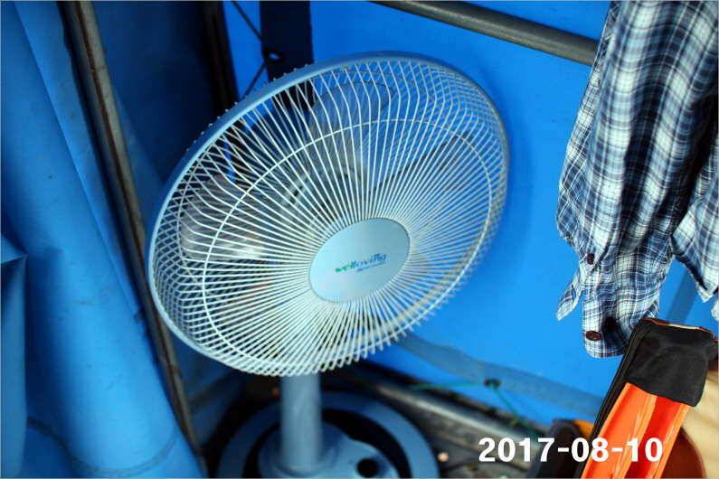 오늘은 설화수골드 5대 (유료터정보 - 유료터점주조황)