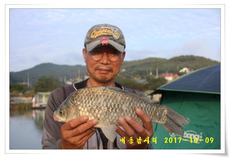낚시의 계절 (유료터정보 - 유료터점주조황)