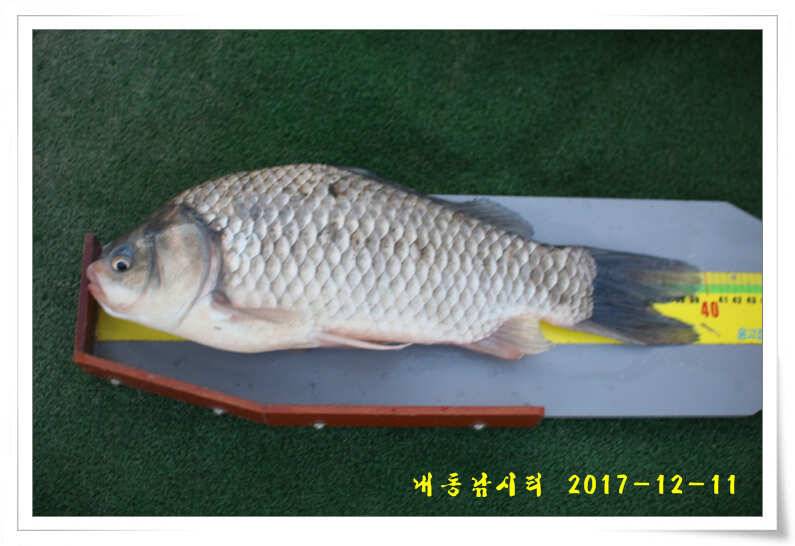 따뜻한 겨울 물낚시 (유료터정보 - 유료터점주조황)
