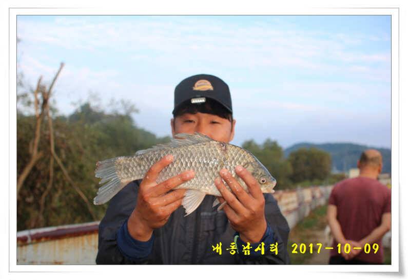 낚시의 계절 (유료터정보 - 유료터점주조황)