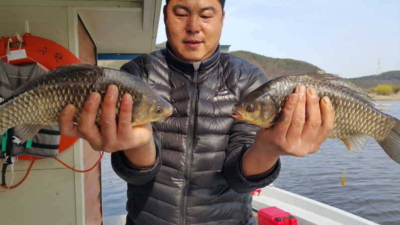 산란특수 허리급 덩어리 송전지 수원좌대 (유료터정보 - 유료터점주조황)