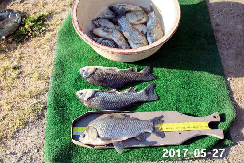 제1회 내동배 4짜 낚시대회 (유료터정보 - 유료터점주조황)