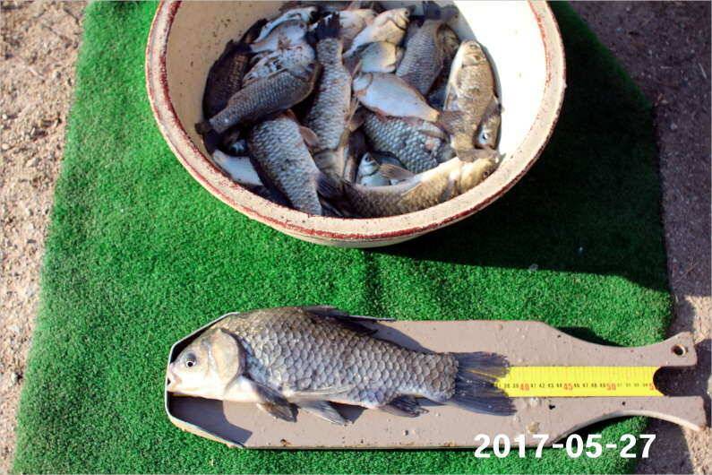 제1회 내동배 4짜 낚시대회 (유료터정보 - 유료터점주조황)