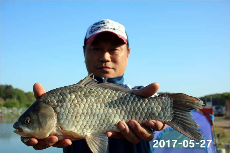 제1회 내동배 4짜 낚시대회 (유료터정보 - 유료터점주조황)