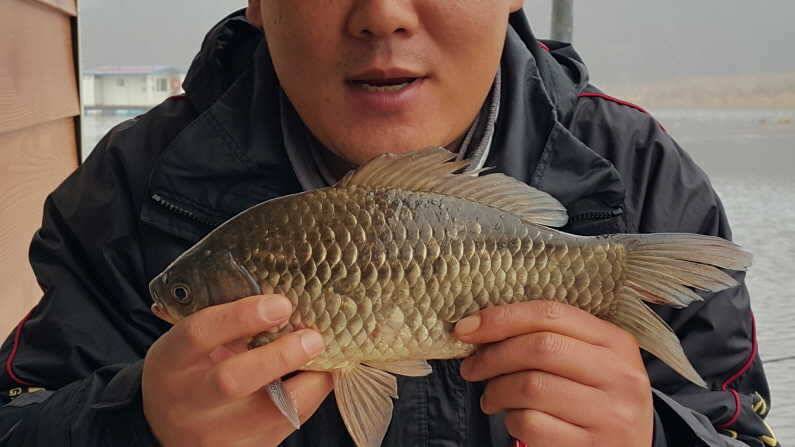 산란시작 대박조황 송전지 수원좌대 (유료터정보 - 유료터점주조황)