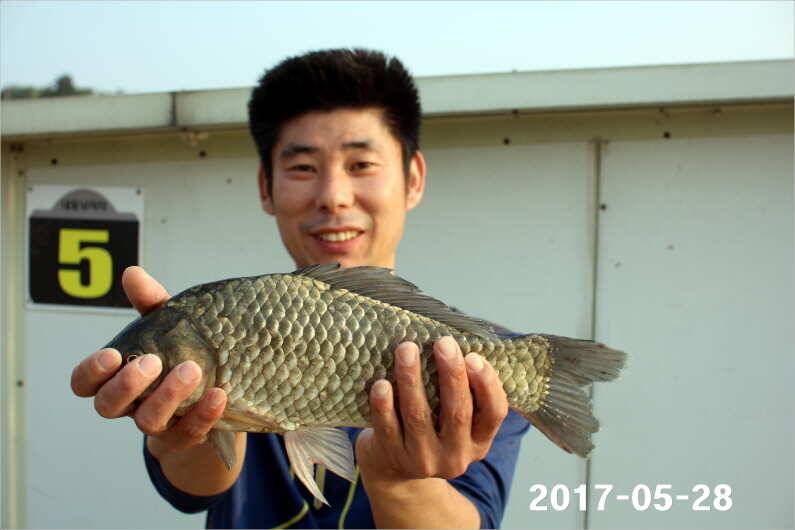 제1회 내동배 4짜 낚시대회 (유료터정보 - 유료터점주조황)