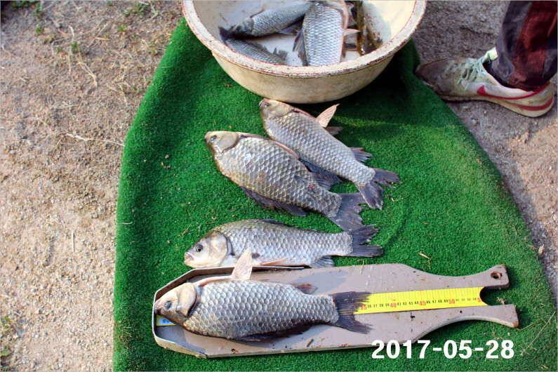 제1회 내동배 4짜 낚시대회 (유료터정보 - 유료터점주조황)