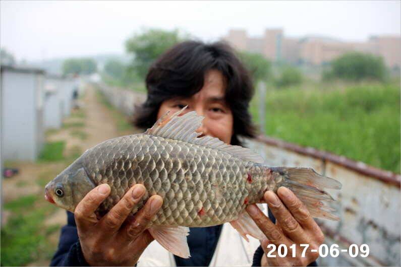 대회 이후 시상품 소진 (유료터정보 - 유료터점주조황)