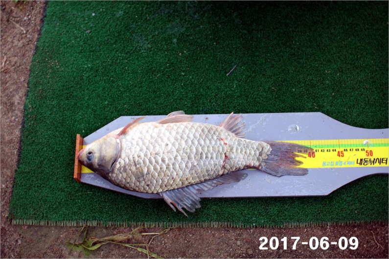대회 이후 시상품 소진 (유료터정보 - 유료터점주조황)