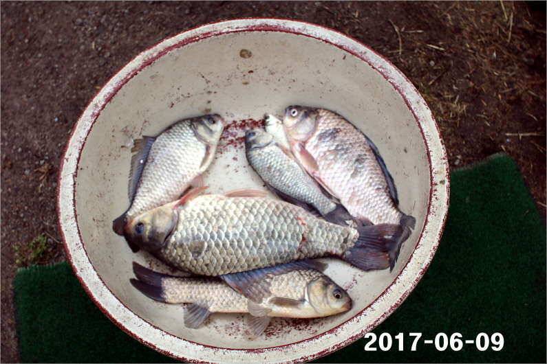 대회 이후 시상품 소진 (유료터정보 - 유료터점주조황)