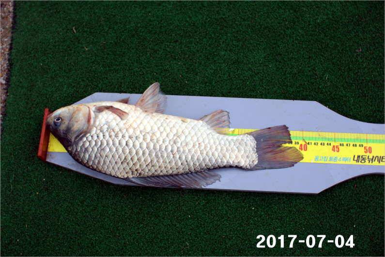 4주년 이벤트 (유료터정보 - 유료터점주조황)